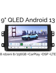 ARAISZSX491_zdj1